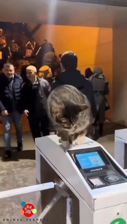 Tickets please 