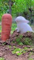Bunny Want to Eat Carrot | Rabbit Want to Eat Carrot | Cute Pets |Animals Funny Moments #animals #4u