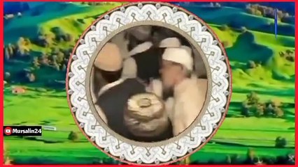 Allama pir Naseer uddin shah