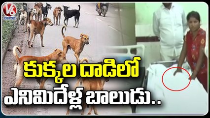 Dogs Destroy 8 Years Old Boy Life _ Warangal _ V6 News