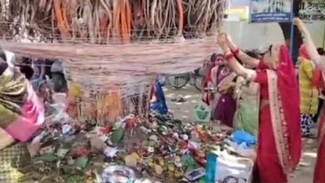 बालाघाट: वट सावित्री की पूजा कर मांगी आयु, जानिए पूरी कहानी