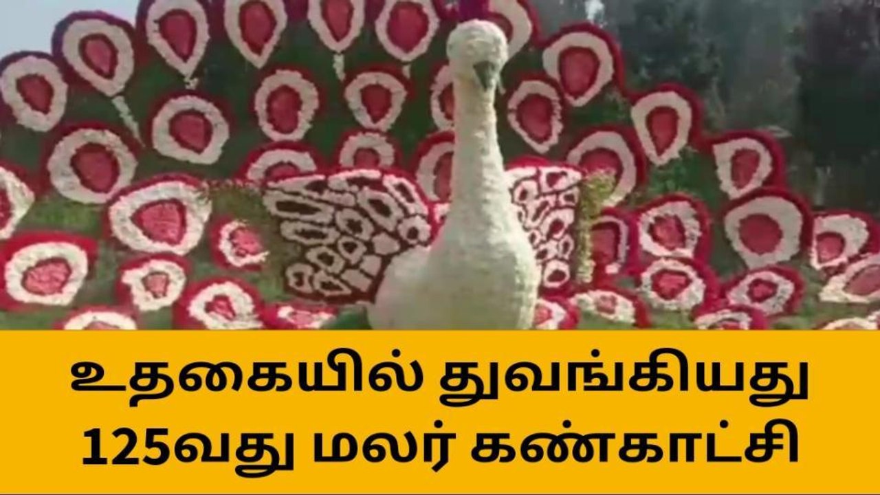 துவங்கியது மலர் கண்காட்சி - சுற்றுலா பயணிகள் உற்சாகம்!