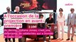 Cannes 2023 : Frédérique Bel frôle l'accident de robe avec sa tenue totalement transparente