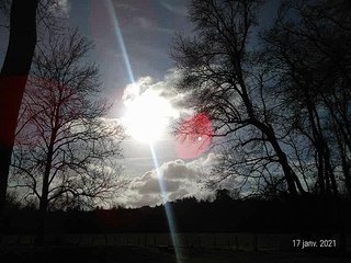 REVES DU SOIR DES JOURS N°12