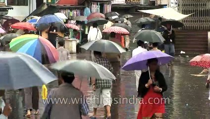 Under their umbrellas in Shillong, Meghalaya