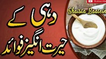 Dahi Khane Ke Fayde |Dahi Khane Ka Tarika | Curd With Salt Good Or Bad In Urdu/Hindi Shaista Baatein