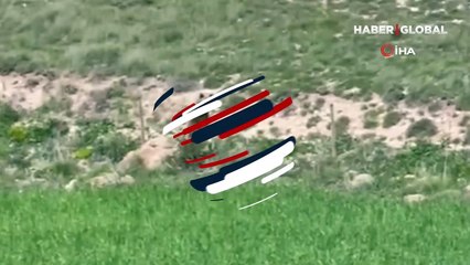 Vatandaşlar şaşkına döndü! Acıkan ayı yaylaya indi