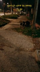 Hora de estirar las patitas (16/05/2023)