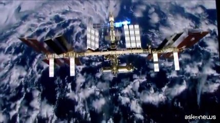 Spazio, il legno di magnolia utilizzabile per costruire satelliti