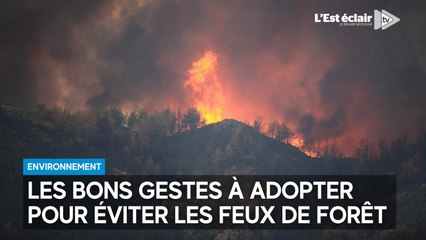 Voici les bons gestes à adopter pour éviter les feux de forêt