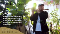 陳中申 - 梅花三弄(古典) 《經典笛曲(1)百鳥引》 ／Johnson Chen - Triple Fiddle of Plum Blossoms