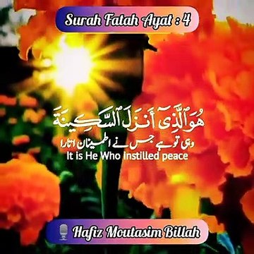 Surah Fatah Ayat - 4 Quran Recitation Heart Touching Voice Jumma Mubarak Status Quran Shorts