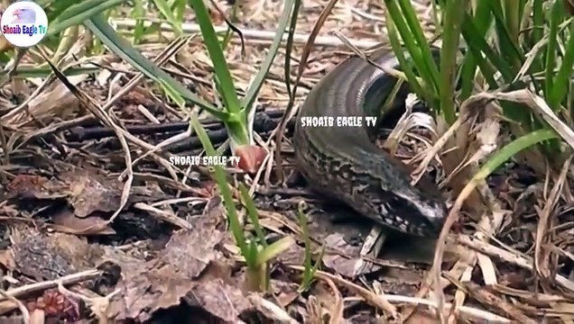 Allah ka Azab _ Qabar ki Pehli Raat _ Qabar ka Azab _