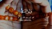 Surah Nuh Ayat - 48 -- Quran Recitation With Translation -- WhatsApp Status -- Heart Touching Voice