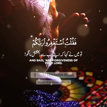 Surah Nuh Ayat 10 - 12 Quran Recitation WhatsApp Status Islamic Status