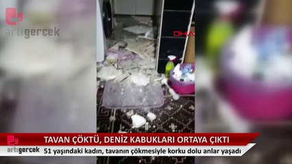 Balat'ta tavan betonu döküldü, midye kabukları ortaya çıktı