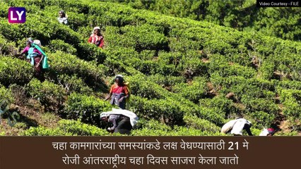 International Tea Day: आंतरराष्ट्रीय चहा दिवसाचा इतिहास, जाणून घ्या