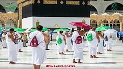 A hand-free umbrella was prepared for the pilgrims, Bin Latif Updates, Lates_144p