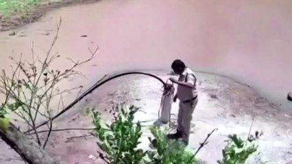 అచ్చంపేట: హోంగార్డ్ ఆత్మహత్యకు ముందు.. సీసీ ఫుటేజ్ వైరల్..!