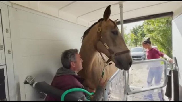Alluvione Emilia Romagna, corsa dei veterinari per salvare gli animali