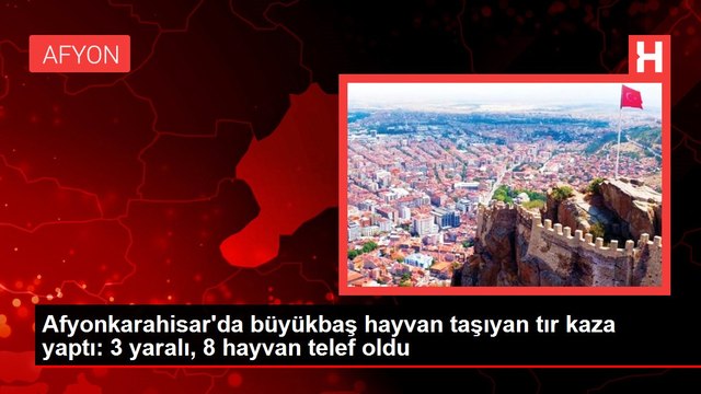 Afyonkarahisar'da büyükbaş hayvan taşıyan tır kaza yaptı: 3 yaralı, 8 hayvan telef oldu