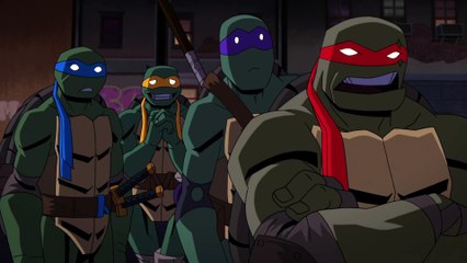 Turtles vs Batman   Batman vs Teenage Mutant Ninja Turtles
