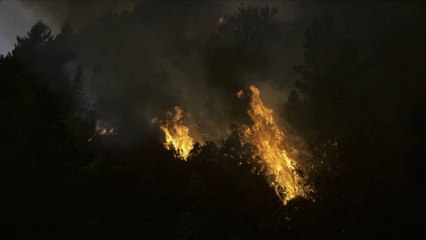 Risques d'incendies : l'Assemblée vote pour l'interdiction de fumer dans les forêts