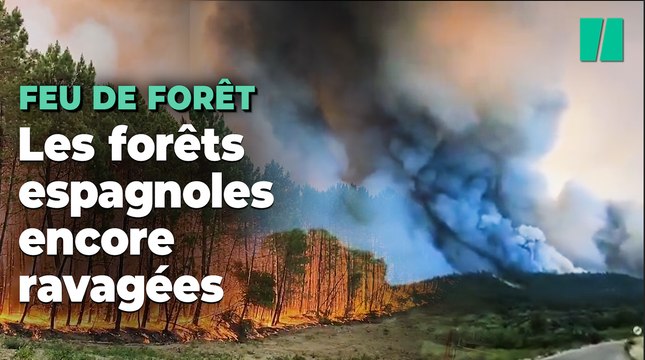 Les images impressionnantes du feu de forêt qui ravage le sud-ouest de l’Espagne