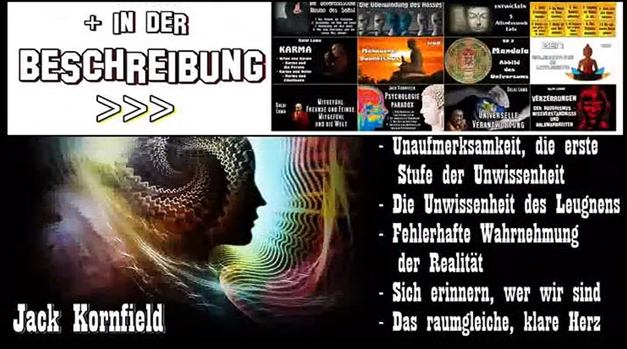 Von der Unwissenheit zur Weisheit - Jack Kornfield, Höbuch Kapitel 15