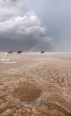 8f36ba1193adf934708454a1c88c0537