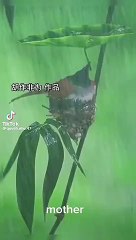 c8080192c7b2ec0dc167f7177e8087dd