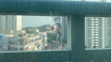 경기 용인시 아파트 쇠 구슬 테러...경찰 수사 / YTN