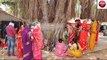 sidhi: Women circumambulate the Banyan tree keeping a fast