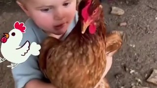 Why are chickens so funny?