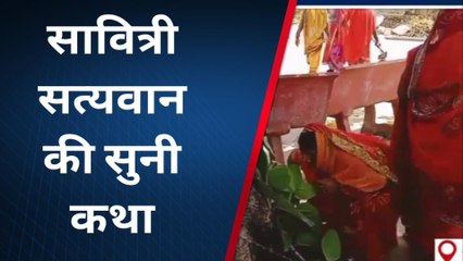 श्रीमाधोपुर: महिलाओं ने अखंड सौभाग्य की कामना के साथ किया वट सावित्री व्रत, देखिए खबर