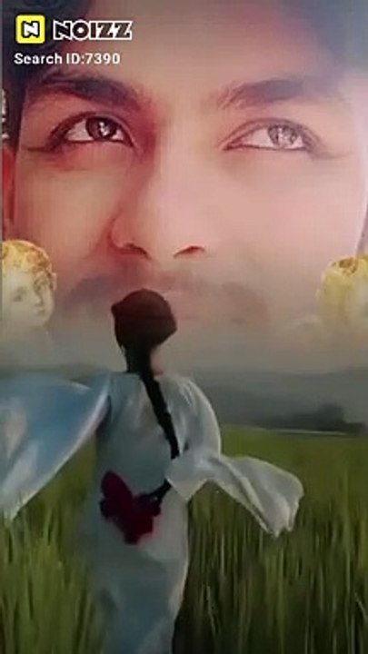 Biushenqi_Video_20230517_210047