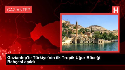 Gaziantep'te Türkiye'nin ilk Tropik Uğur Böceği Bahçesi açıldı