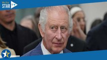 Charles III : ce nouveau projet pour Buckingham Palace qui divise les Britanniques