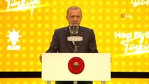 Cumhurbaşkanı Erdoğan: Seçim günü sandıklara sıkı sıkıya sahip çıkmalıyız