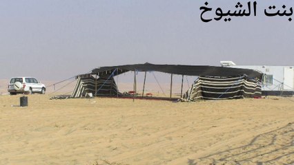 قصة وقصيدة من البادية