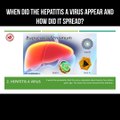 When did the hepatitis A virus appear and how did it spread?