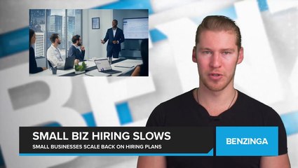 Small Businesses Hit the Brakes on Hiring