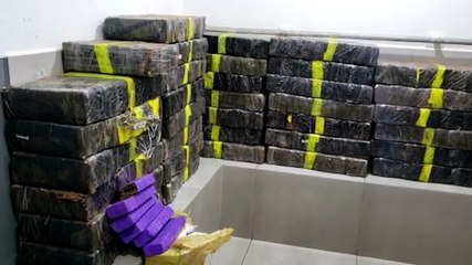 PM realiza outra grande apreensão de maconha em Cascavel