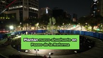 Plantan nuevo ahuehuete en Paseo de la Reforma