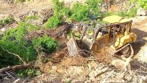 In Front of the Bulldozer D6R XL Is a Large Wooden || See What You Do