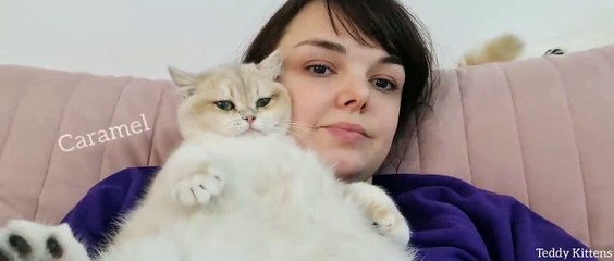 How Can a Cats be so Cute_!