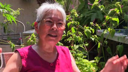 Grandpa Cherry Blossom | movie | 2023 | Official Clip