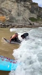 Surfers Help Stranded Dolphin