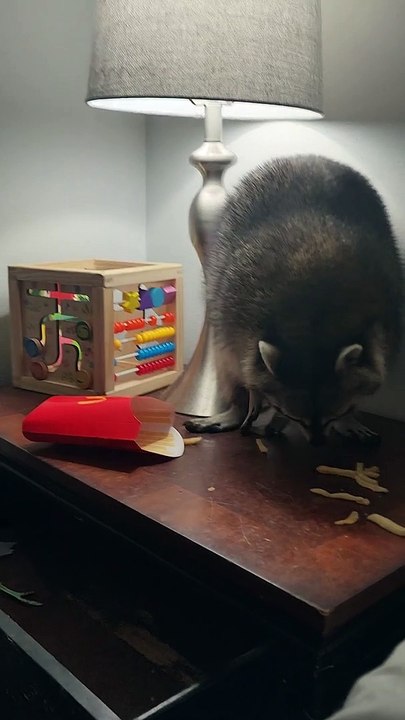 Oakley Eats Her Favorite Fries