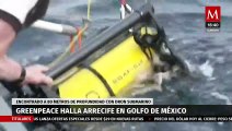 Greenpeace encuentra arrecifes a 80 metros de profundidad en el Golfo de México